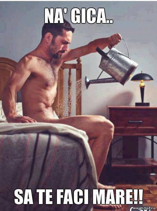 Na Gică, să te faci mare! poze haioase