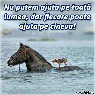 Ajuți pe cine poți și pe cine crezi că merită poze haioase