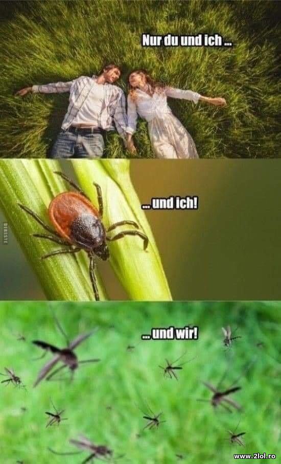 Nur du und ich, und ich, und wir poze haioase