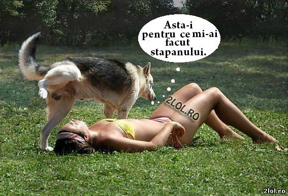 Ai vrea şi tu un câine din ăsta? poze haioase