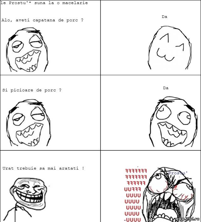 Aveţi căpătână de porc poze haioase