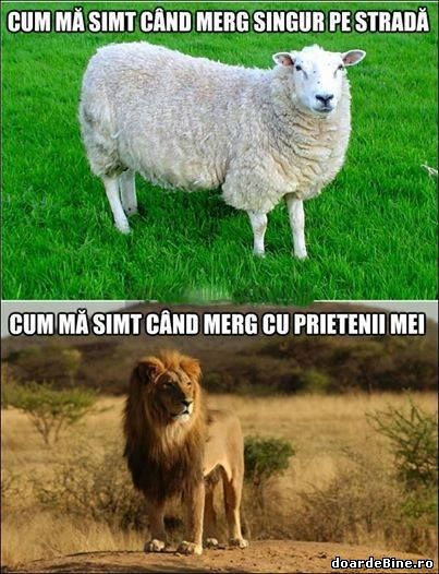 Cum mă simt când merg singur pe strada poze haioase