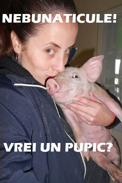 Frumosule! poze haioase