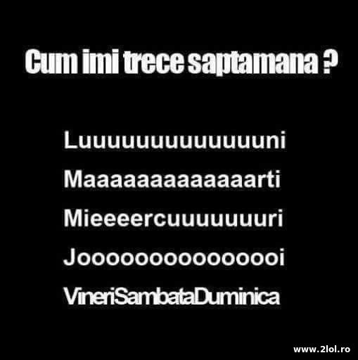 Cum imi trece saptamana poze haioase