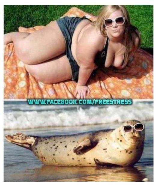 asemanare perfecta poze haioase