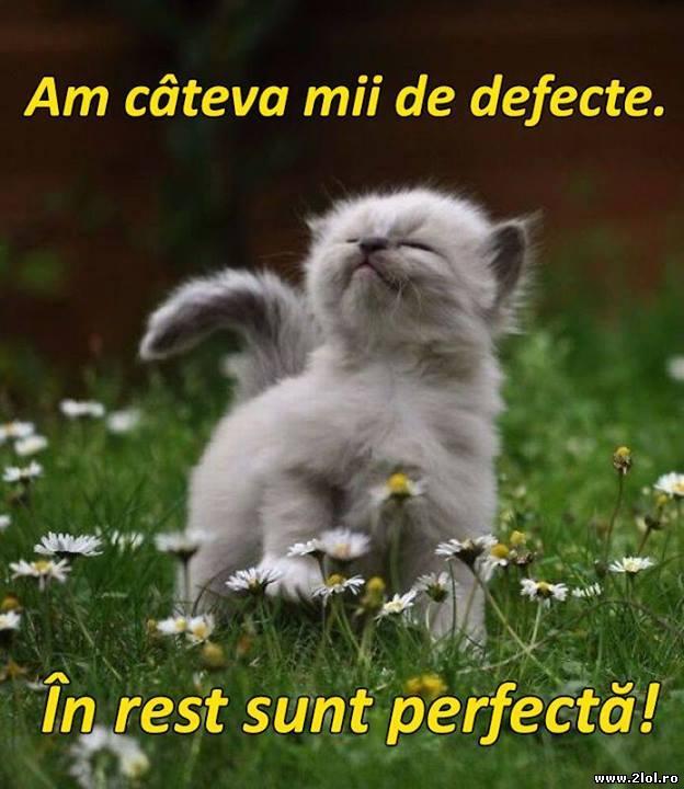 Am doar câteva defecte poze haioase