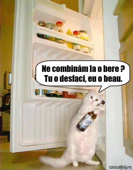 Ne combinăm la o bere? poze haioase