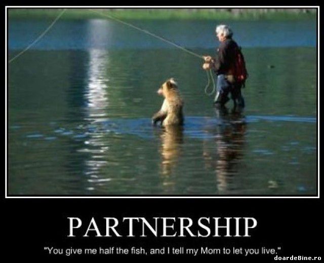 Ce înseamnă un parteneriat bun poze haioase