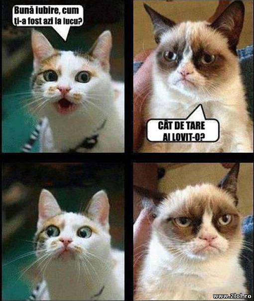 Când iubita se comportă prea frumos cu tine poze haioase