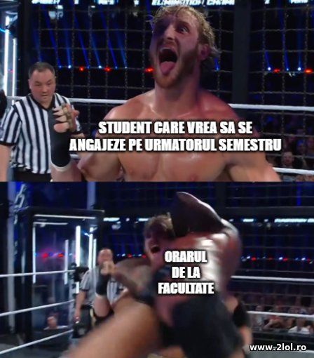 Student care vrea sa se angajeze pe urmatorul seme poze haioase