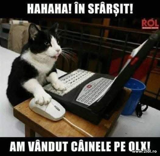 In sfarsit poze haioase