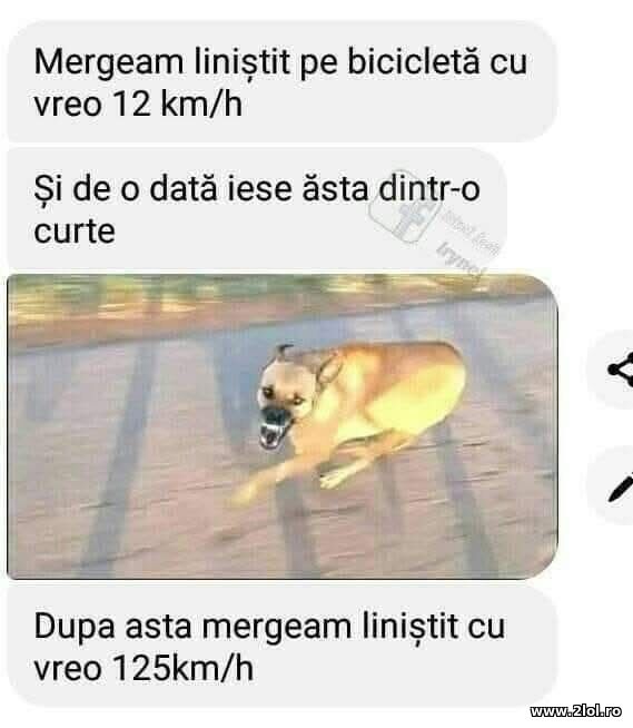 Si de o data poze haioase