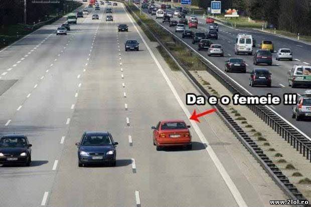 O femeie sau un bărbat? Cine conduce mașina? poze haioase