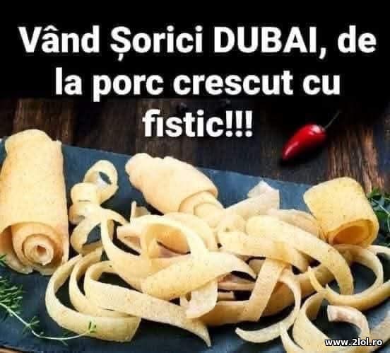 Vand sorici Dubai poze haioase