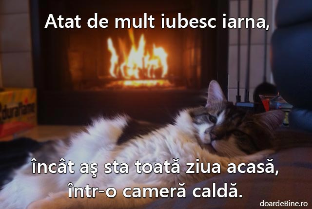 Atât de mult iubesc iarna poze haioase