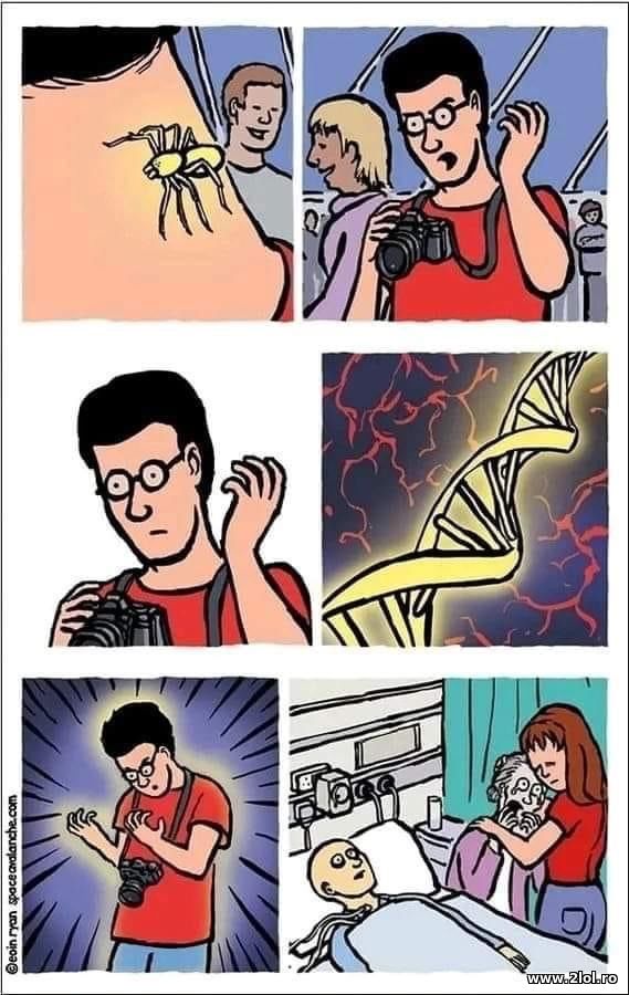 Cand te musca un paianjen poze haioase