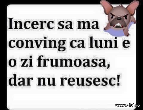 Incerg sa ma conving ca luni e o zi frumoasa poze haioase