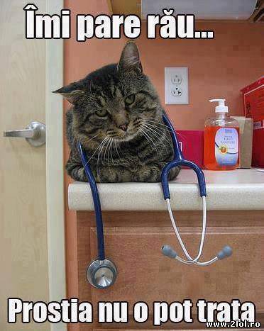 Sincer, scurt și la subiect poze haioase