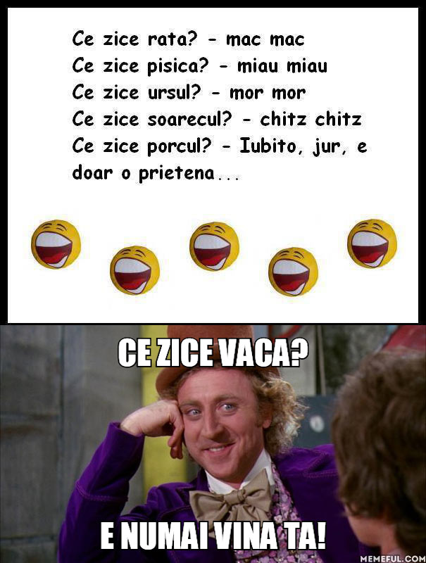 Ce zic vaca şi porcul poze haioase