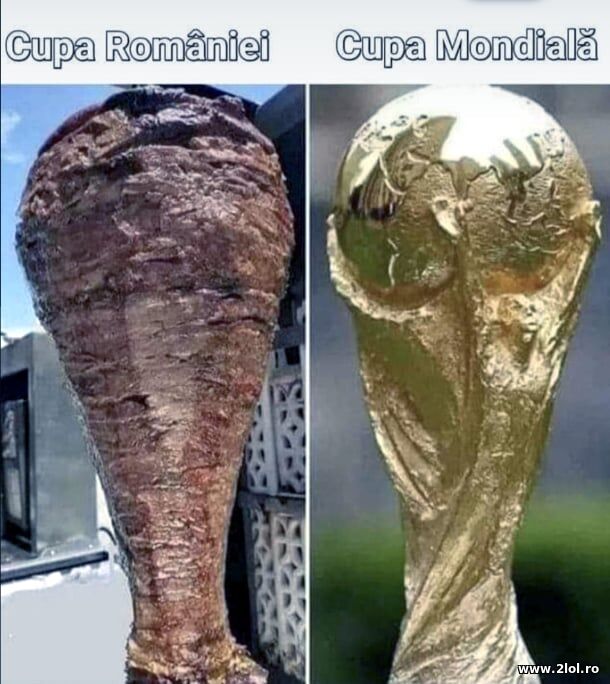 Cupa Romaniei poze haioase