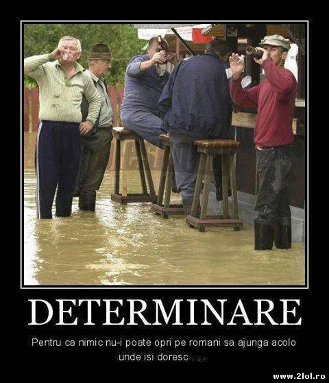 Nimic nu-i poate oprii pe români să ajungă acolo poze haioase