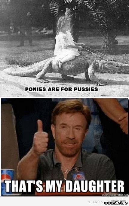Fiica lui Chuck Norris poze haioase
