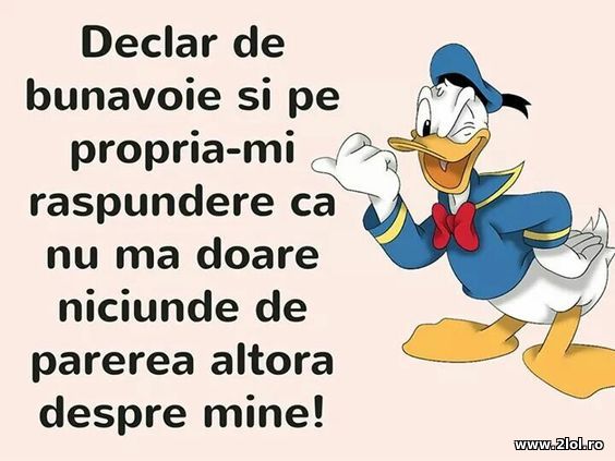 Parerea altora despre mine poze haioase