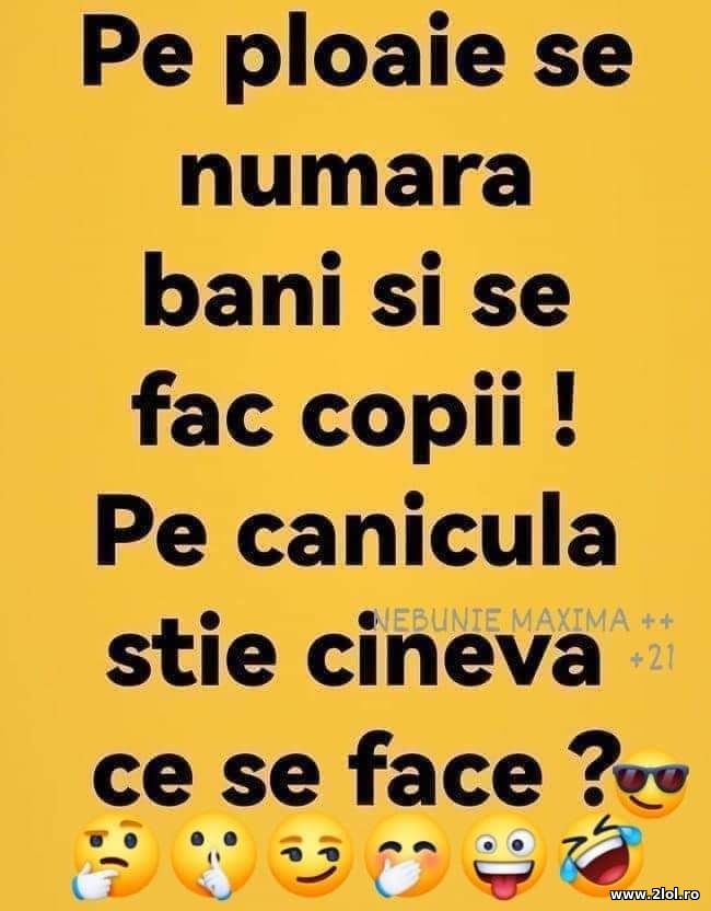 Ce se face pe canicula? Pe ploaie stim poze haioase