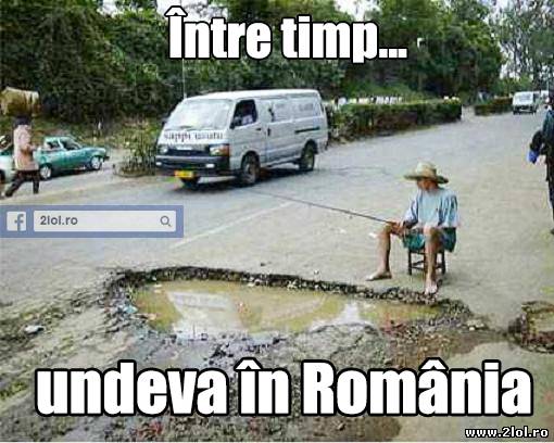 Gropile din România te pot ajuta să te relaxezi poze haioase