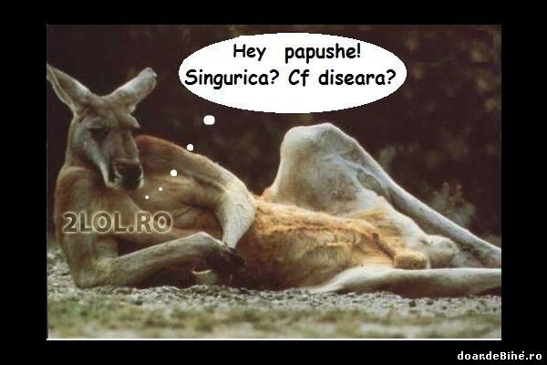 Oare există vreo fată care îl poate refuza? poze haioase