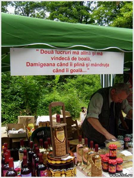 Cică două lucruri îl alină și îl vindecă de boală poze haioase