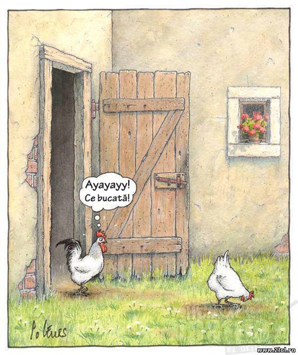 Când cocoșul vede o puicuță într-o poziție sexy poze haioase