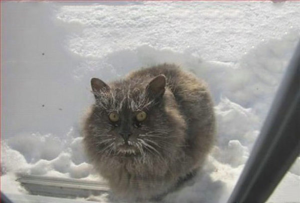 Românii, după ce iarna a venit în octombrie poze haioase