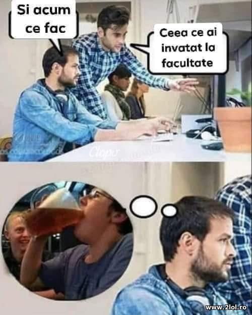 Cea ce ai invatat la facultate poze haioase