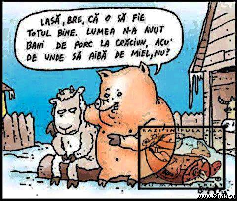 Totul va fi bine! Nu merită să fim supăraţi poze haioase