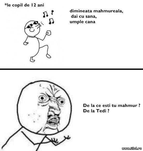 Mahmureala de 12 poze haioase