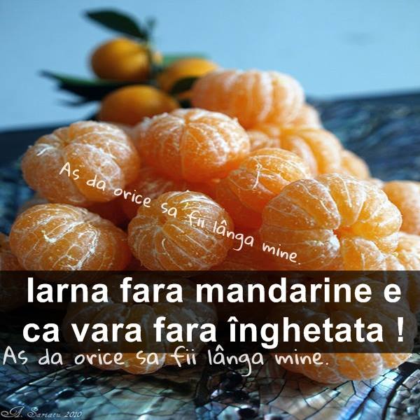 Iarna fără mandarine poze haioase