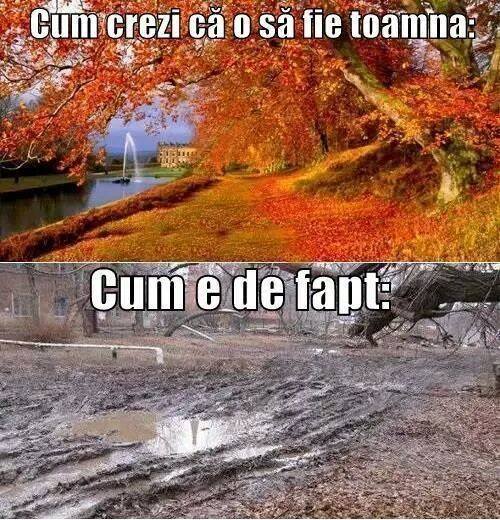 Toamna, în România poze haioase