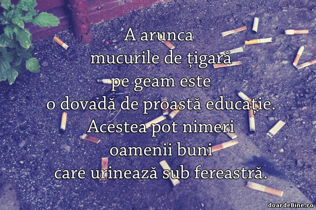 Nu arunca  mucurile de țigară pe geam poze haioase