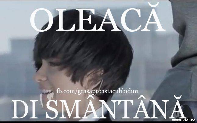 Oleacă di smântână poze haioase