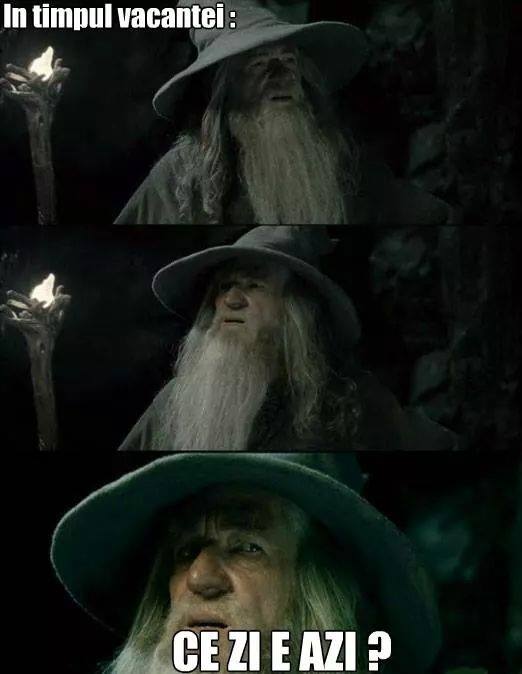 Când ești în vacanță și uiți ce zi este poze haioase