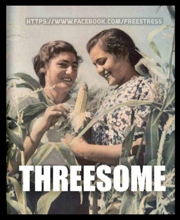 Bucurie Maxima poze haioase