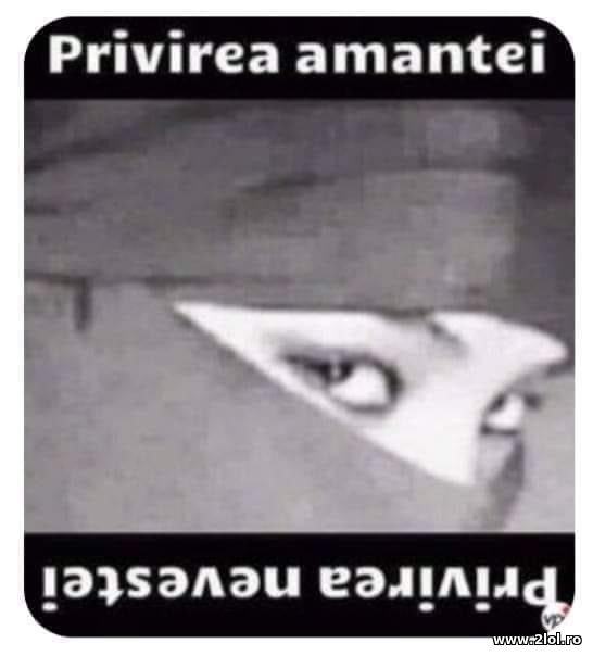 Privirea amantei si nevestei poze haioase