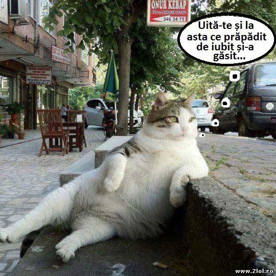 Uită-te și la asta ce prăpădit de iubit și-a găsit poze haioase