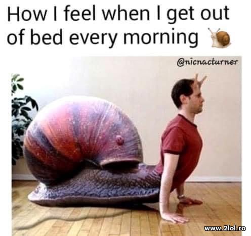 How I feel when I get out of bed every morning poze haioase