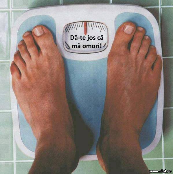 Momentul acela când cântarul se vaită de tine poze haioase