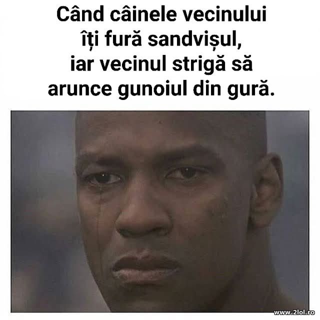 Cand cainele vecinului poze haioase