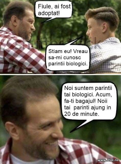Fiule, ai fost adoptat poze haioase