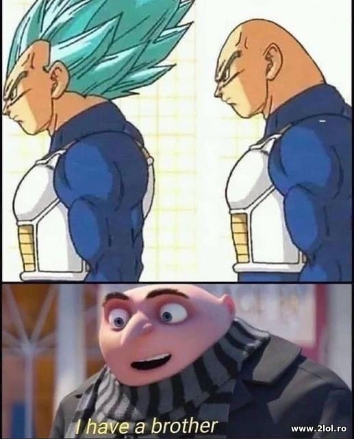 Vegeta's brother poze haioase