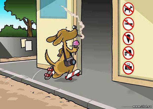 Văzând semnele, sa pregătit cu tot ce trebuie poze haioase